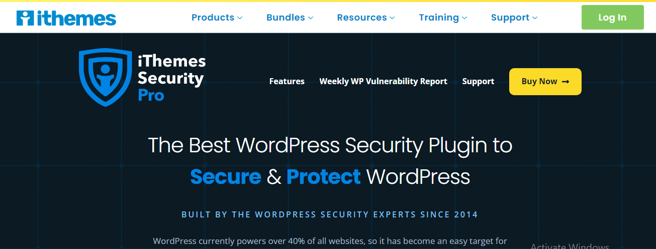 wordpress website